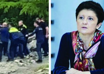 “გსაყვედურობთ, თქვენ მიეცით მტრებს სალაპარაკო” – წულუკიანი დაკავებულ პოლიციელებს