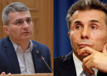 მამუკა მდინარაძე