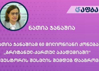 ნათია ჯანაშიამ 60 მილიონიანი ქონება „ბრიტანულ-ქართულ აკადემიაში“ ინვესტორის შესვლის შემდეგ დააგროვა