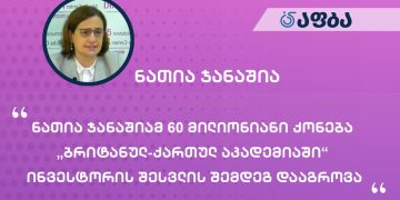 ნათია ჯანაშიამ 60 მილიონიანი ქონება „ბრიტანულ-ქართულ აკადემიაში“ ინვესტორის შესვლის შემდეგ დააგროვა