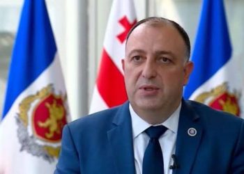 ,,თუკი ის აღიარებს დანაშაულს და მოინანიებს, შეგვიძლია ის იმ დღესვე გავათავისუფლოთ“ – გვარაკიძე ჩახუნაშვილზე
