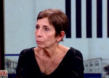 ,, ვიღუპებით” – ლიკა გუნცაძე