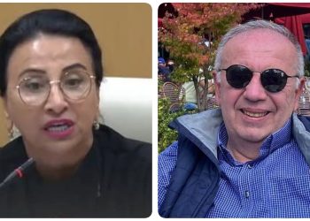 “ცეკაში მუშაობის გამოცდილების ქალბატონს, ეგეთი ელემენტარული უნდა გეშლებოდეთ?” -. ფოფხაძე