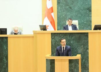 სახალხო დამცველმა პარლამენტში ანგარიში წარადგინა