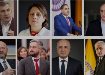 “პროცედურული საკითხებიც კი პოლიტიკური მდგენელის აშკარა ნიშნებს ავლენს” – საია