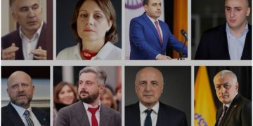 “პროცედურული საკითხებიც კი პოლიტიკური მდგენელის აშკარა ნიშნებს ავლენს” – საია