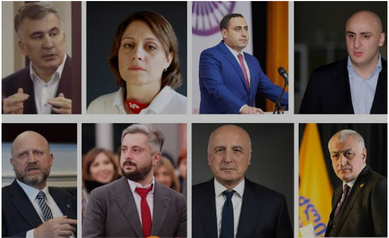 “პროცედურული საკითხებიც კი პოლიტიკური მდგენელის აშკარა ნიშნებს ავლენს” – საია