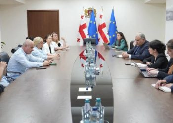 ჯანდაცვის სამინისტროში დიუშენის მქონე ბავშვების მშობლებთან სამუშაო შეხვედრა გაიმართა
