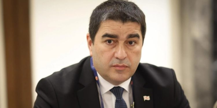 „ისე წარმოაჩენენ, თითქოს ბიძინა ივანიშვილი ერევა იმაში, რაშიც არ უნდა ერეოდეს“ – პაპუაშვილი