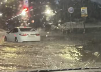 “სანაპიროს არ გაეკაროთ. იუსტიციის სახლთან ზღვაა” – ვიკა ბუკია