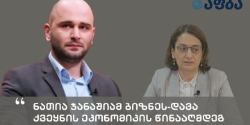 ნათია ჯანაშიამ ბიზნეს-დავა ქვეყნის ეკონომიკის წინააღმდეგ ბრძოლად გადააქცია