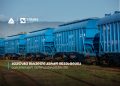თიბისის მხარდაჭერით, “ზეტ ტრანს გრუპმა” 100 ვაგონი შეიძინა