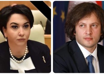 “წარმოუდგენელი სიშლეგის ზღვარზე დადიან”.- ეკა ბესელია