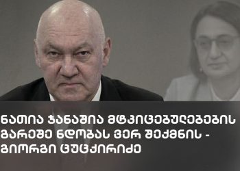 ნათია ჯანაშია მტკიცებულებების გარეშე ნდობას ვერ შექმნის – გიორგი ცუცქირიძე