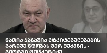 ნათია ჯანაშია მტკიცებულებების გარეშე ნდობას ვერ შექმნის – გიორგი ცუცქირიძე