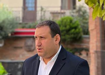 “მოვითხოვთ საწვავის, ელექტროენერგიისა და სურსათის ფასებიდან კორუფციული დანამატების ამოღებას” – ლაშა ფარულავა