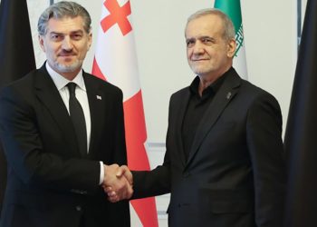 მიხეილ ყაველაშვილი ირანის პრეზიდენტს შეხვდა