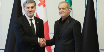 მიხეილ ყაველაშვილი ირანის პრეზიდენტს შეხვდა
