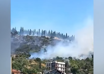 თბილისის ზღვის დასახლებაში ხანძარია