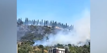 თბილისის ზღვის დასახლებაში ხანძარია