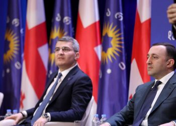 “სრული აბსურდი” – მდინარაძის კომენტარი ღარიბაშვილის წერილზე