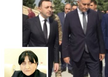 ,, დარწმუნებული ვარ, რომ ჩვენი დაჭერაც სურთ!” – ირმა ინაშვილი