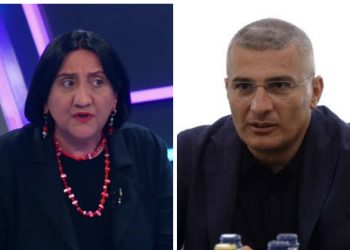 ,, თანმიმდევრობით განვიხილოთ, რა მოხდა, რატომ მოხდა და როგორ მოხდა” – ირმა ინაშვილი