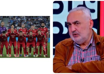 “ევროპაში, ამ ტემპში, პარკში, ცხრა თვის ორსული ქალები არ სეირნობენ” – ირაკლი მელაშვილი