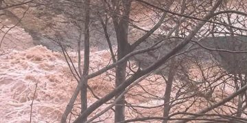 “ყველაზე საშინელი განცდაა, – ხედავ საკუთარ შვილს საფრთხეში და ვერ ეხმარები”– გვანცა კობერიძე ჭანისწყალში ინციდენტზე
