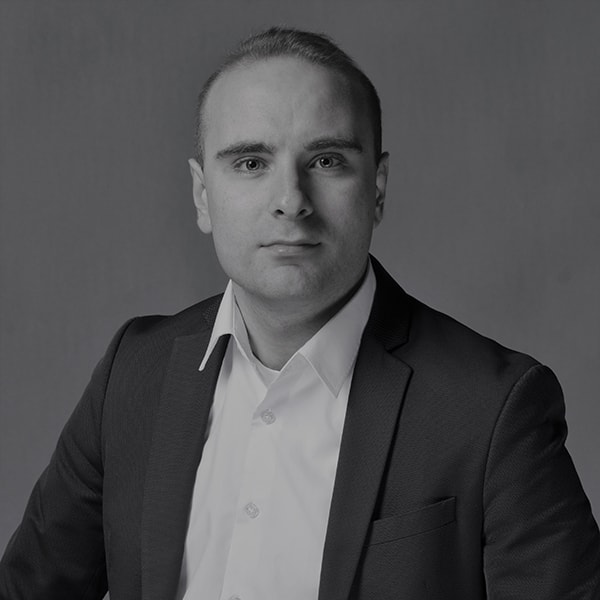 “ერეკლე მეორე არც გულუბრყვილო ყოფილა და არც წინდაუხედავი. მან რუსეთი აირჩია, რადგან ჩათვალა ჩათვალა, რომ მაშინ ევროპის გზა რუსეთთან მოკავშირეობაზე გადიოდა” – გიორგი კობერიძე