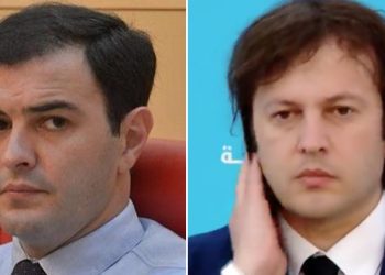 “მე ვერ ჩავერევი” – რას ამბობს კობახიძე ვანო ზარდიაშვილზე