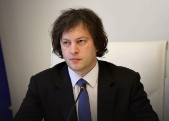 „ჩვენ არ შეგვიტანია, ბიზნესმა შეიტანა“ – ირაკლი კობახიძე ოკუპირებულ აფხაზეთში საწვავის შეტანაზე