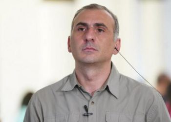 TI: ალექსანდრე ელისაშვილის ქმედებაში ტერორისტული მიზანი არ იკვეთება