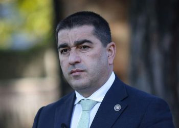 “პროტესტის“ 666-ე დღეა – აგრესიული, ფსევდორელოგიური სექტაა” – პაპუაშვილი