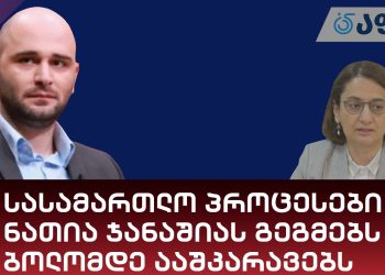 სასამართლო პროცესები ნათია ჯანაშიას გეგმებს ბოლომდე ააშკარავებს