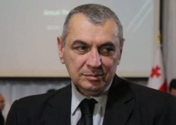 “მიშა აგინებს ალასანიას, გვარამია – მიშას, იაგო ხვიჩია – გვარამიას, ბაბლი –  იაგო ხვიჩიას, ღარიბაშვილი – კობახიძეს…”  – დავით ზურაბიშვილი
