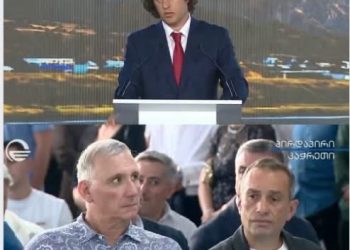 ,, ამ დროს ირაკლი ალასანია სადაა? ახლა კი სად მისულა?” – ეკა წამალაშვილი