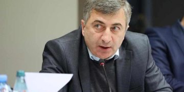 რა ქონებას ფლობს შემოსავლების სამსახურის ახალი ხელმძღვანელი?
