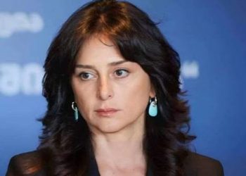 რა ქონებას ფლობს კულტურის ახალი მინისტრი მაია ბითაძე?