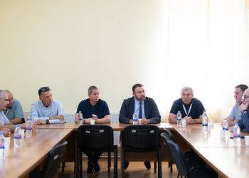 ცესკოს ხელმძღვანელი პირები ახმეტის საოლქო საარჩევნო კომისიას შეხვდნენ