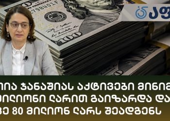 ნათია ჯანაშიას აქტივები მინიმუმ 20 მილიონი ლარით გაიზარდა და უკვე 80 მილიონ ლარს შეადგენს