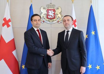 რას ამბობს ლევან იოსელიანი ირაკლი ღარიბაშვილთან შეხვედრის შემდეგ?