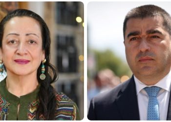 “უფრო დაკვირვებული მეგონეთ, ვწუხვარ” – ანა მიქაძე-ჩიკვაიძე