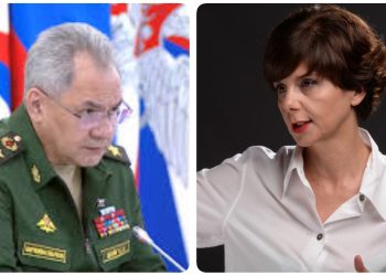 “ახლა თავად შეაფასეთ რას ნიშნავს შოიგუსთვის რაც “საღია”, ის ჩვენთვის” – ჩერგოლეიშვილი