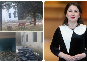 “ასეთ მდგომარეობაშია ბაღი მისაქციელში. 3 წელია” – თეონა ჭალიძე