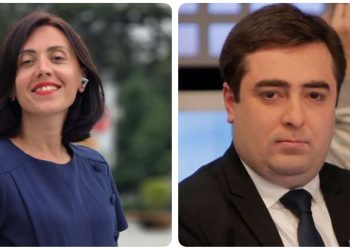 “ანი წითლიძე გაფუჭებული რადიოსავით იმეორებს: “ივანიშვილი კლავს“ – ნიკოლოზ მეტრეველი