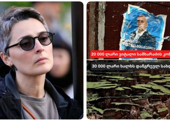“ვისაც სახლები დაემარხა იმ ხალხს 30 000 ლარს აძლევენ და დიტო სამხარაძის მამას ერთ საათიან კონცერტში 20 000 მისცეს” – სალომე სიმონია