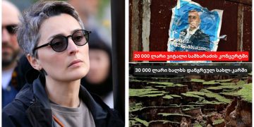 “ვისაც სახლები დაემარხა იმ ხალხს 30 000 ლარს აძლევენ და დიტო სამხარაძის მამას ერთ საათიან კონცერტში 20 000 მისცეს” – სალომე სიმონია