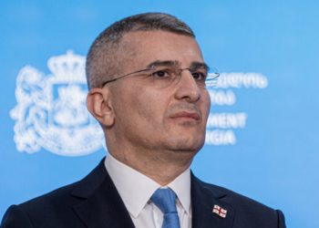 „მე დავიწყე და ღარიბაშვილმა დაამთავრა მდინარაძესთან დაკავშირებით“ – ელისო კილაძე