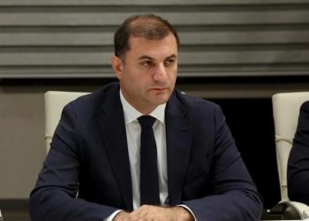 პარლამენტმა სუსის ხელმძღვანელად თამაზ ბორაშვილის კანდიდატურა დაამტკიცა